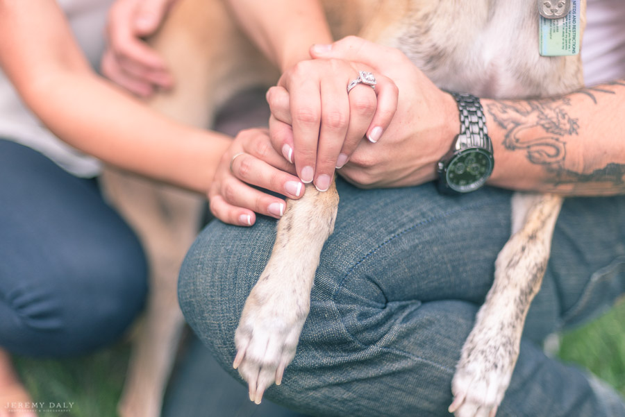 dog engagement photography in Toronto