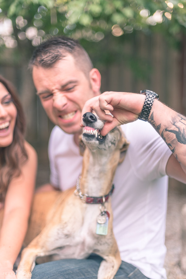 dog engagement photography in Toronto