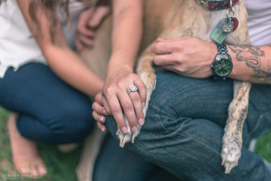 dog engagement photography in Toronto